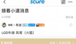 圈内爆料lgd,揭秘战队背后的故事与挑战